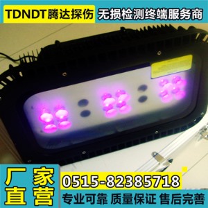 TD400-36W型懸掛式探傷黑光燈